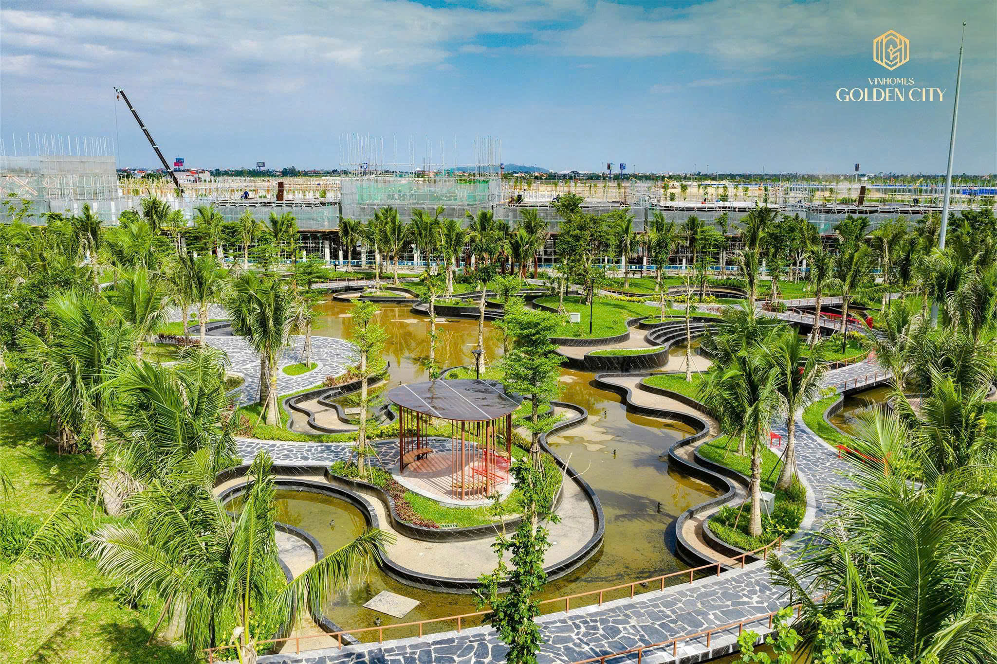 Ảnh bài viết