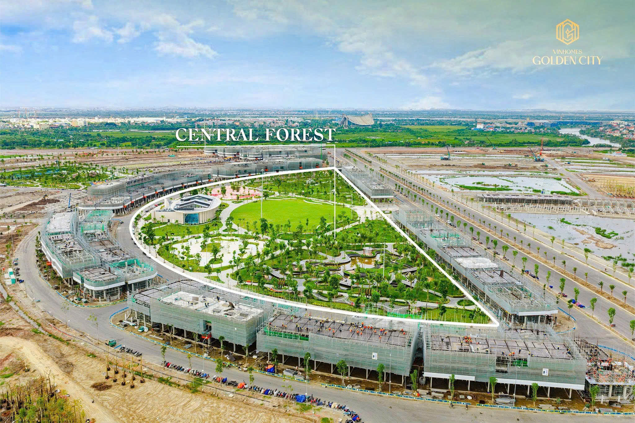 Ảnh bài viết