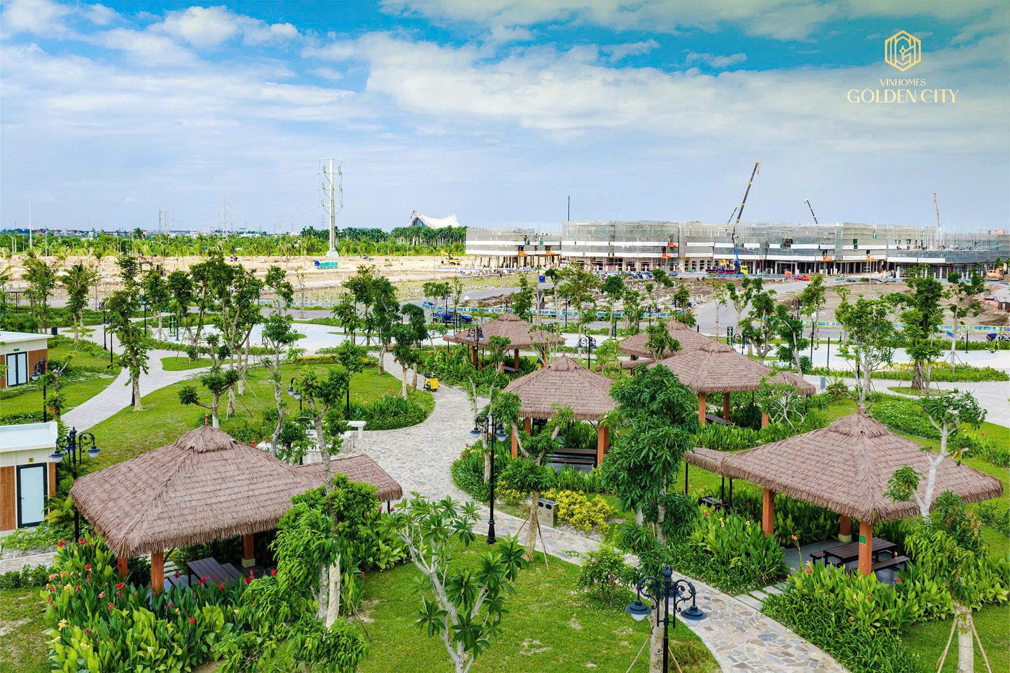 Ảnh bài viết